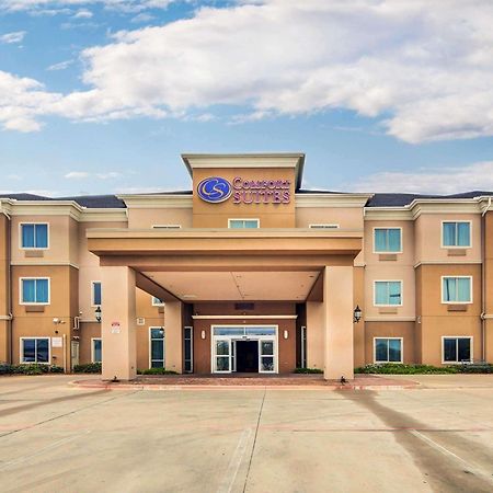 Comfort Suites Fort Worth South Luaran gambar